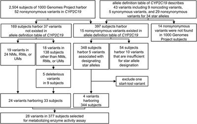 Comprehensive in vitro and in silico assessments of metabolic capabilities of 24 genomic variants of CYP2C19 using two different substrates